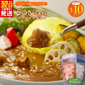 【ふるさと納税】15種スパイスを使用した SONカフェ 特製カレー セット いずみピクルス NSW 選べる 内容量 オリジナルカレー 600g / 1000g / 2000g 玉ねぎのアチャール キャベツのピクルス カレー 最短 翌日発送 5営業日 泉佐野市 送料無料 年内発送