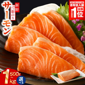 【ふるさと納税】サーモン ポーション 選べる 500g 1kg 刺身 訳あり 発送時期が選べる サイズ不揃い 銀鮭 シルバーサーモン 鮭 さけ 小分け ブロック 柵 ソテー 生食可 海鮮丼 カルパッチョ 冷凍 定期便 最短翌日発送 年内発送 泉佐野市 送料無料 楽天限定