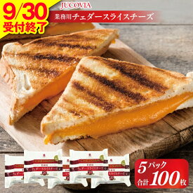 【ふるさと納税】【9月30日受付終了】 ムラカワチーズ JUCOVIA 業務用 チェダー スライスチーズ 100枚 20枚×5パック レッドチェダー 濃厚 ハンバーグ サンドイッチ ホットサンド ハンバーガー チーズ 乳製品 ナチュラルチーズ 冷蔵便 泉佐野市 送料無料