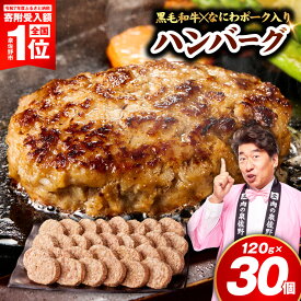 【ふるさと納税】ハンバーグ 黒毛和牛入り 30個 3.6kg 1個120g ふるさと納税 訳あり 大阪産 なにわポーク 合挽き 牛肉 豚肉 焼くだけ ふっくら ジューシー 時短 惣菜 おかず お弁当 毎日 家族 夕食 冷凍 小分け ストック 大満足 お取り寄せ 大阪府 泉佐野市 送料無料