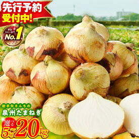【ふるさと納税】先行予約 新たまねぎ 5kg ～ 20kg M級以上 1位獲得 訳あり サイズ不揃い 品質・味そのまま 甘い 肉厚 泉州たまねぎ 産地直送 国産 肉じゃが カレー サラダ オニオンスライス 野菜 生食 高評価 満足度98％ 射手矢農園 大阪府 泉佐野市 送料無料