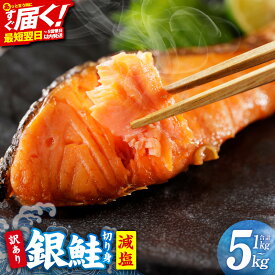 【ふるさと納税】【楽天セレクション】 総合1位 人気 訳あり 銀鮭 切り身 甘塩 塩分控えめ 減塩 選べる 定番 / 厚切り 1kg～5kg サイズ 不揃い 規格外 バター焼き 海鮮 魚介 鮭 朝食 バラ凍結 簡単調理 発送月 定期便 最短翌日発送 大阪府 泉佐野市 送料無料 年内発送