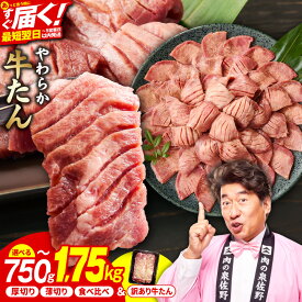 【ふるさと納税】【楽天限定】 牛たん 選べる 味付け 内容量 750g ～ 1.75kg 味噌だれ 醤油だれ 塩だれ 厚切り 薄切り 食べ比べ ねぎ塩牛たん 成型牛たん 訳あり サイズ不揃い 小分け 焼肉 BBQ 簡単調理 発送月 年内発送 最短 5営業日 大阪府 泉佐野市 肉の泉佐野 送料無料
