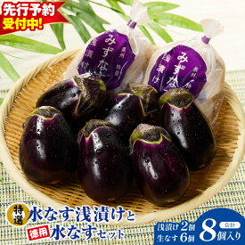 【ふるさと納税】【先行予約】 特選 水なす浅漬け 2個 徳用水なす 6個 セット 食べ比べ 着色料・保存料無添加 大阪エコ農産物認定 自家製 朝採れ こだわり 泉州水なす 産地直送 漬物 おひたし てんぷら おかず おつまみ お取り寄せ 冷蔵 大阪府 泉佐野市 送料無料