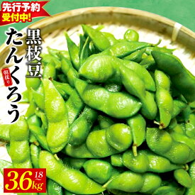 【ふるさと納税】【先行予約】 朝採り直送 黒枝豆 たんくろう 選べる 1.8kg / 3.6kg こだわり 鮮度 早朝収穫 もぎたて 産地直送 新鮮 枝豆 塩ゆで 簡単調理 おつまみ 晩酌 ホームパーティー 野菜 冷蔵 お取り寄せ 大阪府 泉佐野市 送料無料