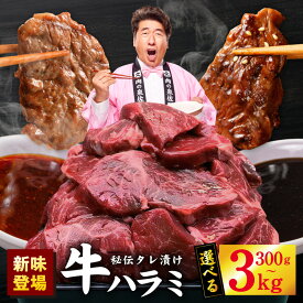 【ふるさと納税】総合1位 牛ハラミ 食べ比べ 300g～3kg 訳あり 数量限定 牛すじ佃煮 赤タレ 黒ダレ トマトガーリック 味付け タレ 焼肉 おかず お弁当 牛肉 お肉 肉 小分け 冷凍 ハラミ 牛タン 選べる発送月 まとめ買い ストック 最短翌日発送 年内発送 泉佐野市 送料無料
