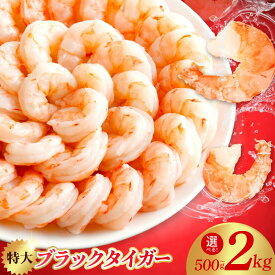 【ふるさと納税】むきえび 高級 ブラックタイガー 特大 選べる 内容量 500g 〜 2kg 銀鮭 セット 訳あり 海老 サイズ不揃い 簡単調理 バラ凍結 エビチリ エビフライ BBQ 冷凍 背ワタなし 下処理済み むき身 ストック 発送月 年内発送 泉佐野市 送料無料