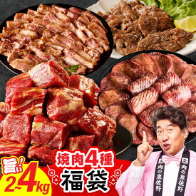 【ふるさと納税】【発送月が選べる】 焼肉 福袋 4種 選べる 内容量 2kg / 4kg 氷温熟成 特製ダレ 500g 小分け 牛タン ヒレ ハラミ バラ 数量限定 冷凍 お取り寄せ 大阪府 泉佐野市 送料無料 牛肉 熟成肉 ふるさと納税オリジナル 限定 肉の泉佐野 年内発送
