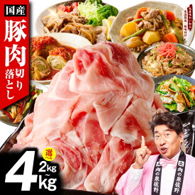 【ふるさと納税】国産 豚肉 切り落とし 肉 訳あり 選べる容量 2kg 3kg 4kg 氷温熟成 極味付け 塩麹 昆布 うま味 モモ ウデ バラ 豚丼 豚汁 ポークカレー 炒め物 煮物 小分け 真空パック 冷凍 時短 簡単 ストック 肉 泉佐野市 送料無料 年内発送