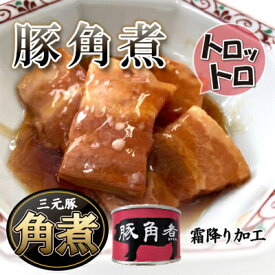 【ふるさと納税】豚角煮缶詰　5缶【1154261】