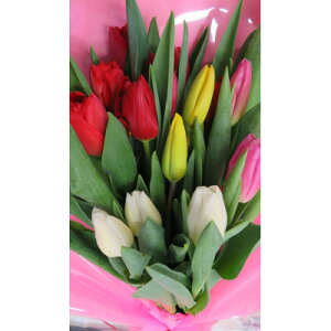 �y�ӂ邳�Ɣ[�Łz12���o�ׁ@�`���[���b�v�̉ԑ��@18�{�y�z���s�n��F�����z�y1271240�z