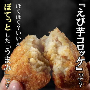 yӂ邳Ɣ[ŁzшRbP 2 l(5×4pbN)yzsnFzy1277964z