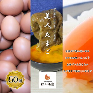 yӂ邳Ɣ[Łzy݂ĔZzJ{{̔l܂@50(TCYwł܂)yzsnFzy1390274z