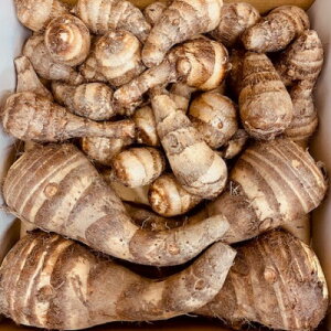 【ふるさと納税】【GI認証取得】とんだばやしの海老芋 1箱(海老芋2kg・孫芋3kg)【1433040】