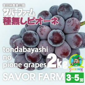 【ふるさと納税】種なしピオーネ　2kg(3～5房)【配送不可地域：離島】【1736629】