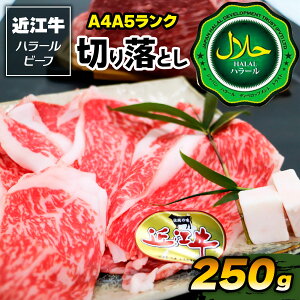 yӂ邳Ɣ[Łzߍ]A4A5N ؂藎Ƃ250g nr[tbߍ]A4A5N r[t ؂藎Ƃ 250g [1169]