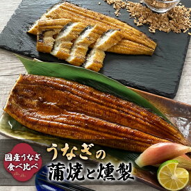 【ふるさと納税】《国産うなぎ食べ比べ》 鹿児島産うなぎの蒲焼と燻製の饗宴｜株式会社ヒラオ 鰻 ウナギ かば焼き くんせい スモーク うな重 うな丼 セット商品 大阪府寝屋川市 送料無料 ギフト [0179]