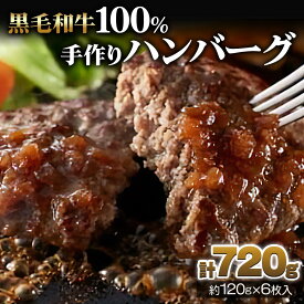 【ふるさと納税】[黒毛和牛100%] 手作りハンバーグ 6個セット (120g×6個) ｜お肉 肉 牛肉 惣菜 冷凍 簡単調理 おかず おつまみ 贈答用 贈り物 ギフト 個包装 小分け [0440]