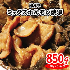 【ふるさと納税】[チンするだけ！]【秘伝のタレ漬け】国産牛ミックスホルモン焼き850g(170g×5パック)[鮮度を保つCAS冷凍]｜味付け肉 加工品 お惣菜 おかず おつまみ 冷凍 簡単調理 小分け キャンプ パーティー 宅のみ 宅飲み [0575]