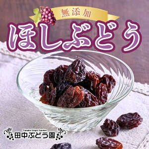 yӂ邳Ɣ[ŁzقԂǂ (5/10܂炨Iт) Y hCt[c Y i  A   Ԃǂ uhE Y ۑH ~H H H@ 