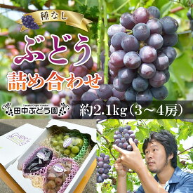 【ふるさと納税】ぶどう 約2.1kg（3～4房）詰め合わせ （シャインマスカット含む）＜2025年8月中旬～発送＞食べやすい！田中ぶどう園 種無しぶどう 詰め合わせ※発送前のご連絡はできませんので、ご注意ください※ぶどう ブドウ グレープ シャインマスカット 厳選 巨砲 ピ