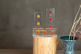 【ふるさと納税】お花を閉じ込めたアクリル置物 ヘリクリサム 3色からお選びください f-ofjet インテリア オブジェ