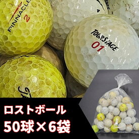 【ふるさと納税】ロストボール　50球×6袋　大容量 送料無料 ロストボール ゴルフボール 練習用ボール