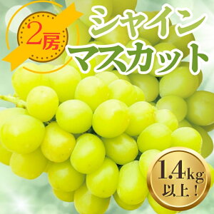 【ふるさと納税】シャインマスカット 2房 1.4kg以上 中村オリジナルぶどう園 ※発送前のご連絡についてご注意下さい 葡萄 ブドウ グレープ フルーツ 果物 くだもの 果汁 ジューシー 産地直送
