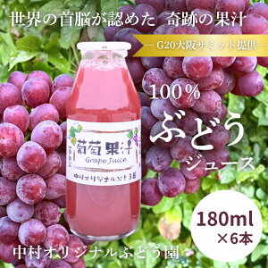 yӂ邳Ɣ[Łz100ԂǂW[X G20T~bg IWiԂǂ Y  x20x EF߂Xg[gW[X Mtg i { YԂǂgp 