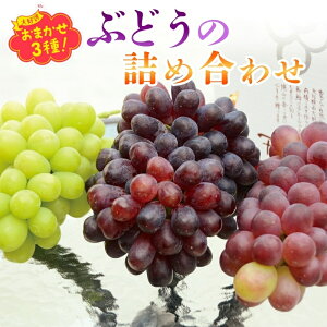 yӂ邳Ɣ[Łzy2026N6{`z܂IWi3lߍ킹i炲ƐHׂi1[܂ށj1.8Kg