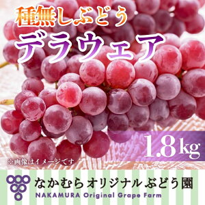 �y�ӂ邳�Ɣ[�Łz�y2026�N7�����{�`���������z�f���E�F�A 1.8kg �����I���W�i���Ԃǂ��� l���� �u�h�E ���� �ʕ� �������� �ʏ` �W���[�V�[ �Y�n���� ��������