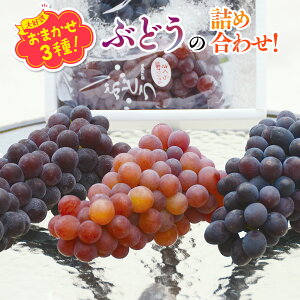 yӂ邳Ɣ[Łzy2026N6{`zԂǂ 3 lߍ킹  IWiԂǂ IWii܂ ܂ 3Ԃǂ lߍ킹IÔAɂĂӂ