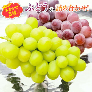 yӂ邳Ɣ[Łzy2026N6{`zԂǂ 5 lߍ킹 IWiԂǂ̌I 5 Ԃǂ lߍ킹b炲ƐHׂ Ȃ IWii bYn 