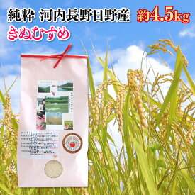 【ふるさと納税】国際コンクール受賞 純粋 河内長野日野産 きぬひかり 米 約4.5kg お米 精米 白米 ブランド米 ごはん ご飯 美味しい こめ もっちり 国産 食品 国産米 弁当 銘柄米 ふるさと納税大阪府 ふるさと納税返礼品 返礼品 送料無料