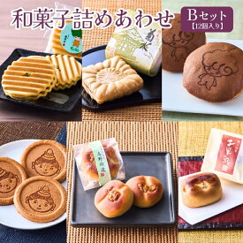 【ふるさと納税】奥河内 和の恵み詰合せ 友井堂 和菓子詰め合わせBセット12個入 どら焼き どらやき 煎餅 せんべい お煎餅 最中 もなか 送料無料 商品番号： 15015-40000878 母の日 父の日 誕生日 敬老の日 ギフト 贈答 お中元 お歳暮 退職 和菓子 スイーツ 餡子 あんこ お供