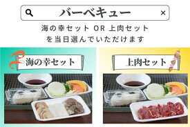 【ふるさと納税】関西サイクルスポーツセンター入場+フリーパスチケット+BBQ（※種類をお選びいただけます）|自転車 テーマパーク アトラクション サイクリング BBQ バーベキュー 春休み 夏休み プール 乗り物 迷路 自然 河内長野