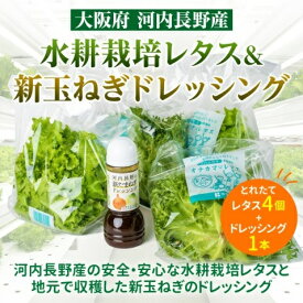 【ふるさと納税】【定期便　毎月お届け 12ヵ月】とれたてレタスと玉ねぎドレッシングセット　サラダ 副菜 常備野菜 炒め物 スープ チャーハン 鍋料理 巻物 冷製料理 朝食 昼食 夕食 付け合わせ サンドイッチ ハンバーガー お弁当 ダイエット｜こだわりの逸品 地域特産品 ギ