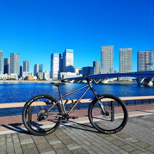 yӂ邳Ɣ[Łz}EeoCN ACTWITH×ROCKBIKES R{[V IWi  wNightrainiiCgCjx