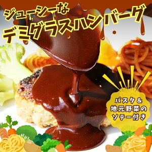 【ふるさと納税】ジューシーなデミグラスハンバーグ (個数をお選びください)野菜ソテー付き デミグラスソース 一食完結型 総菜 おいしい 送料無料 洋食 ハンバーグ はんばーぐ 冷凍 人