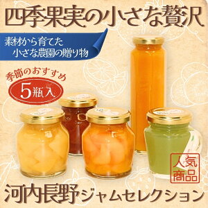 【ふるさと納税】四季果実の小さな贅沢 河内長野ジャムセレクション 季節のおすすめ5瓶入 ごろごろフルーツ 大きめにカットされた贅沢果実 ジャム詰め合わせ 手作り 安心 安全 国産 桃 い