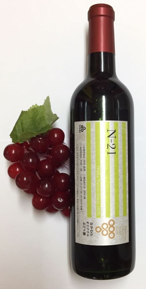 ふるさと納税 N21ワイン 720ml 中村オリジナルぶどう園のオリジナル品種使用 やや甘口 国産 トラスト 赤ワイン 新発売