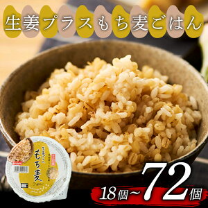 yӂ邳Ɣ[Łz IvX ͂pbN Iׂ  160g 18-72 I   ͂   pbNCX pbN pbN͂ уpbN ͂pbN pbN CX