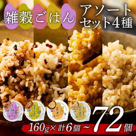 【ふるさと納税】 選べる 個数 雑穀ごはん アソートセット 4種 160g 6個-72個 十六雑穀 発芽玄米 玄米 もち麦 パックごはん パックご飯 ごはんパック ご飯パック パックライス パック 16 雑穀 米 ごはん ご飯 こめ ライス 備蓄 保存 レンジ 簡単 レトルト 国産