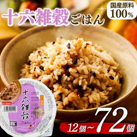 【ふるさと納税】 十六雑穀ごはん ご飯パック 160g 12個~72個 定期便 定期 お米 レトルト 食品 国産 レンジ 簡単 温めるだけ ギフト 引っ越し 挨拶 内祝い お歳暮 12個 24個 48個 72個 常温 備蓄 災害 ヘルシー 国産原料 簡単調理 大阪府 松原市