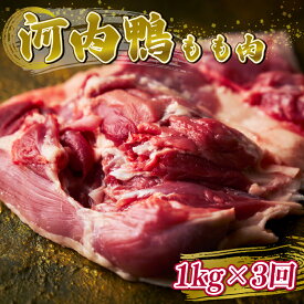 【ふるさと納税】 国際サミット提供 鴨 もも肉 スライス 1kg 500g 河内鴨 鴨肉 もも肉 河内鴨 スライス 1kg 500g 鴨鍋 すき焼き ギフト 国産 鮮度抜群 一貫飼育 手土産 鍋料理 食材 厳選素材 上質肉 和食食材 家庭用 贈り物対応 真空包装 冷凍配送