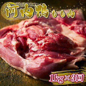 yӂ邳Ɣ[Łz TVŘb×ۃT~bg ͓  XCX 500g 1kg ѐYւ鍂O ͓   XCX 1kg 500g Ԃ  Ă  Mtg 
