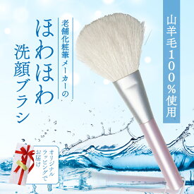 【ふるさと納税】 ほわほわ洗顔ブラシ 毛穴 くすみケア ラッピング付 日本製 男性にもおすすめ 高級 天然 天然毛 毛穴 肌質改善 美肌 肌ケア 角栓 角質ケア 美容液 化粧水 乳液 美容 ヤギ 山羊 贈り物 プレゼント 父の日 母の日 誕生日 熊野 筆 贈答品 ギフト 大阪府 松原市