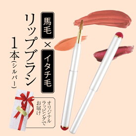 【ふるさと納税】 イタチ×馬毛 発色が良く塗りやすい リップブラシ シルバー 誕生日プレゼント や 母の日にもおすすめ 贈り物 プレゼント 贈答品 記念品 ギフト 美容 大阪府 松原市