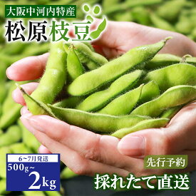【ふるさと納税】 【先行予約】 枝豆 選べる 500g 1kg 2kg 有機肥料 濃厚な甘みと大粒のホクホク食感！ ビール の おつまみ 晩酌 に 夏野菜 旬 産地直送 冷蔵 お中元 上田ファーム 大阪府 松原市 送料無料