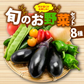 【ふるさと納税】 厳選 選べる 野菜セット 定期便 1~3回 詰め合わせ 一人暮らし 新鮮 こだわり エコ農産物 ほぼ 無農薬 朝採れ 季節野菜 詰め合わせ 健康 ヘルシー 食卓 サラダ フレッシュ 煮物 スープ 安心 安全 国産 野菜ボックス エコ栽培 旬の味 大阪 松原